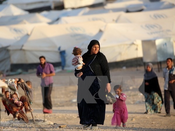 Irak : plus de 125.000 déplacés depuis le début de l'offensive sur Mossoul - ảnh 1